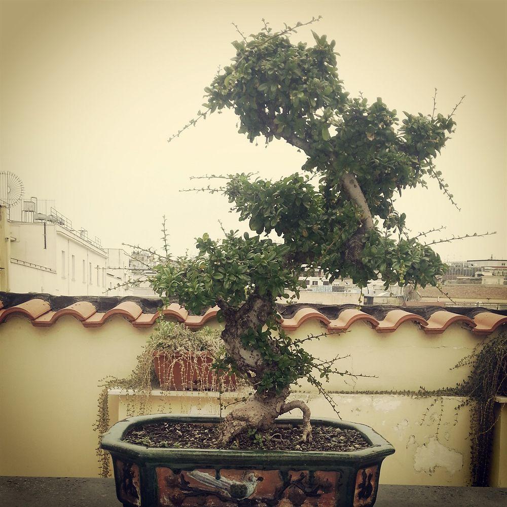 Attico Partenopeo Bed and breakfast 4*